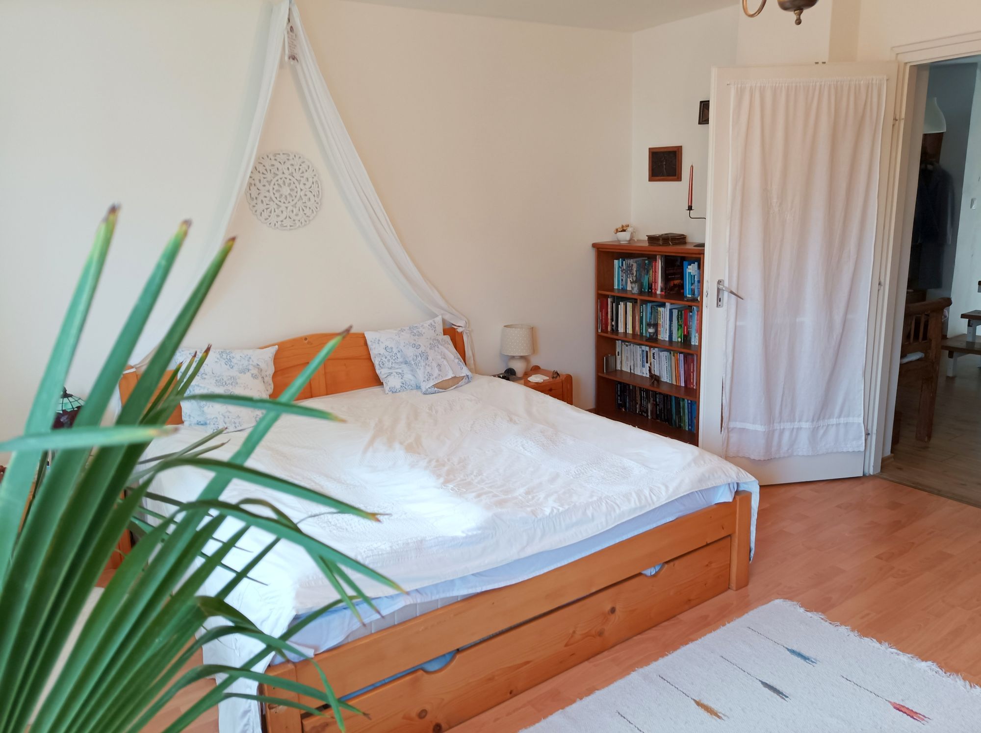 Eladó családi ház Debrecenben, természetközeli környezetben! 